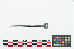 Foto von Bronzerollenkopfnadel (NHMW-PRAE-026160)